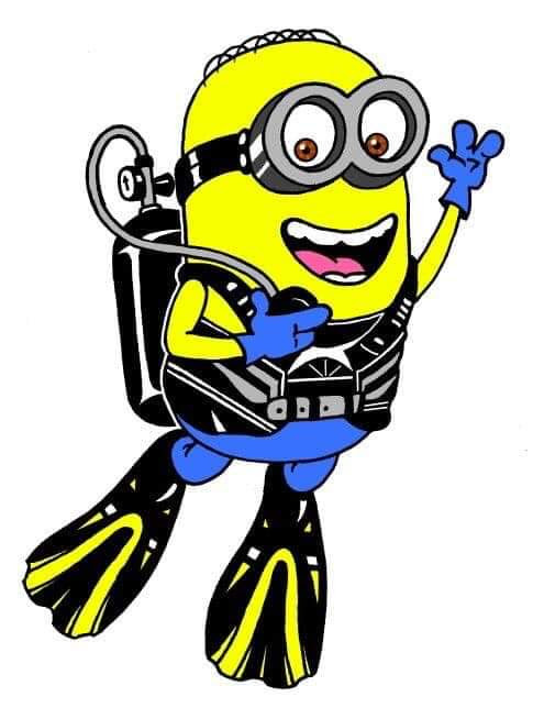 Petit plongeur sympas